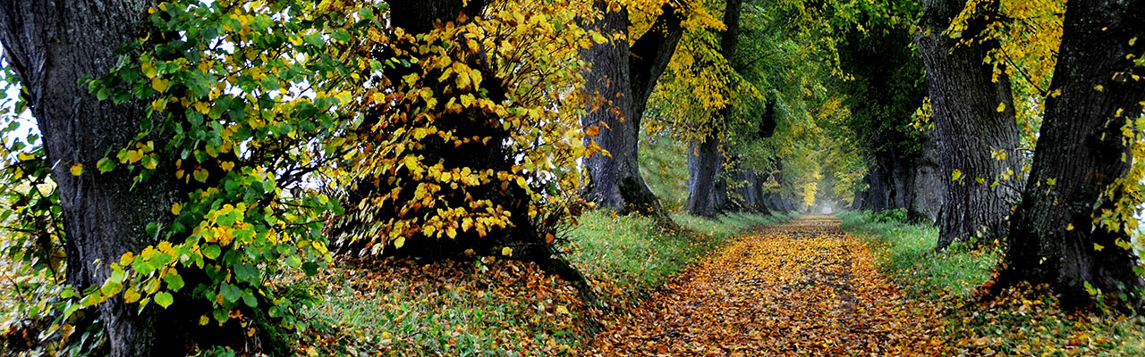 Deutsche PalliativStiftung - Fotograf: Erich Plappert